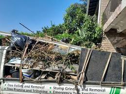 Best Shed Removal  in Elmore, AL